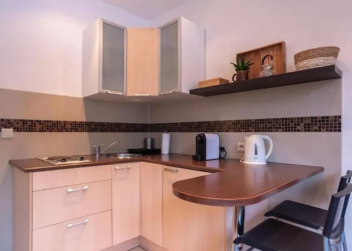 Typu Kamykowka W Sasiedztwie Gor I Lasow Piechowice *