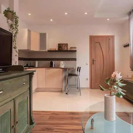 Typu Kamykówka W Sąsiedztwie Gór I Lasów Piechowice Szklarska Poręba